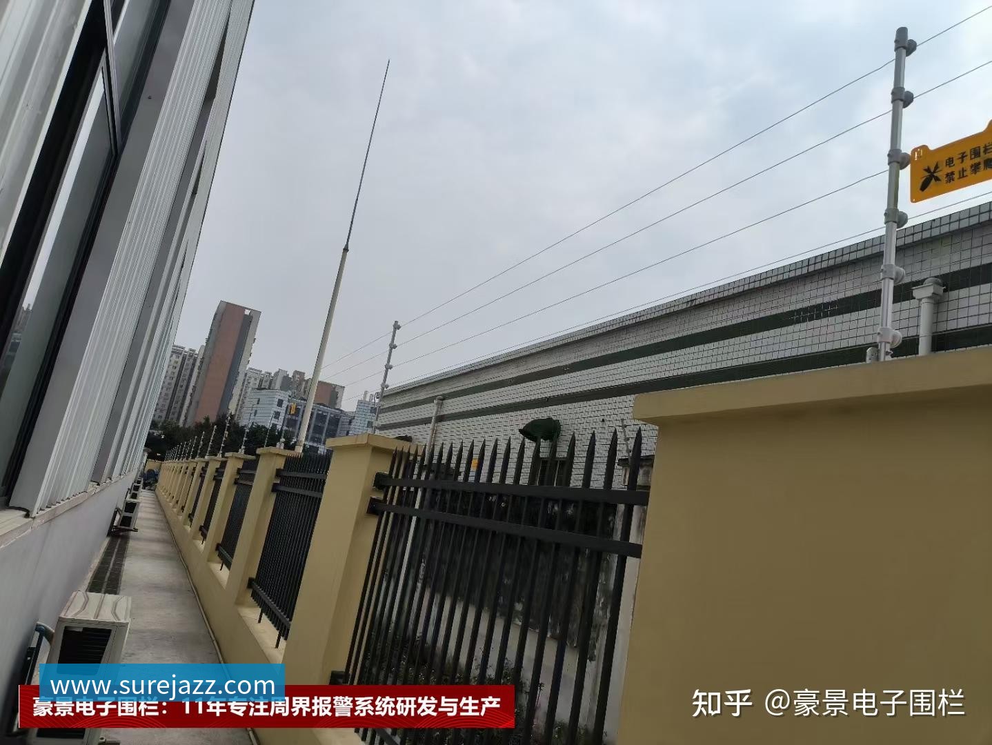 飞盘专题：深入解析上海飞盘队的战术与技术创新之路